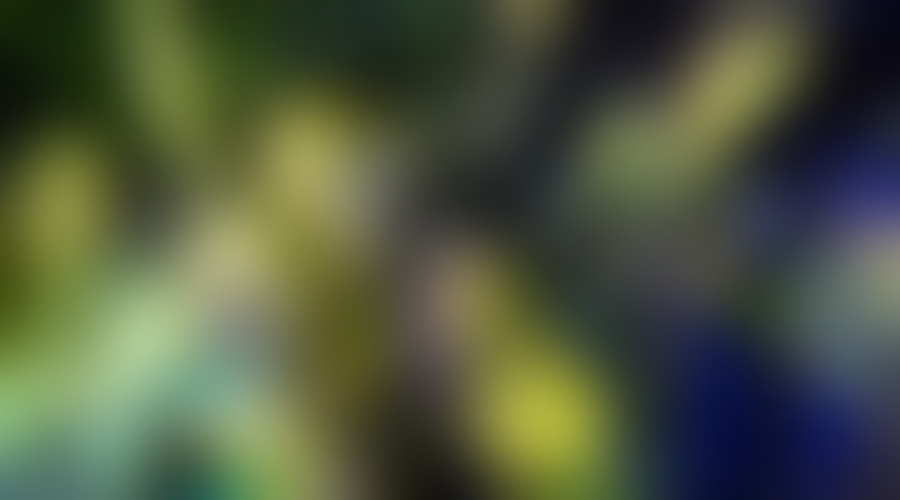 Med zapuščena poslopja idrijskega rudnika se vrača življenje