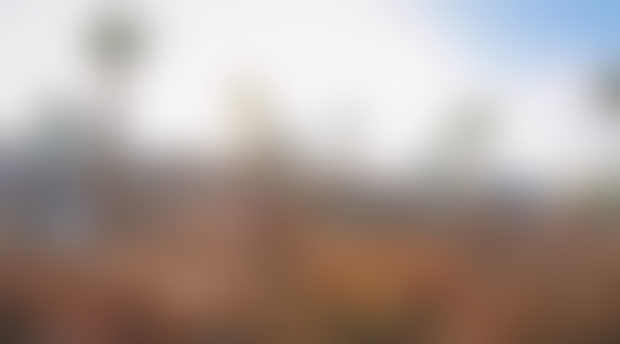 Sonus - vrhunec jadranske festivalske sezone!