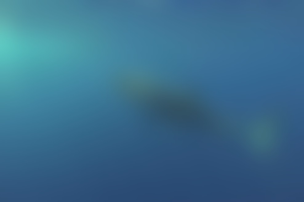 Na Discovery Channelu se pričenja Shark Week (Teden morskih psov)!