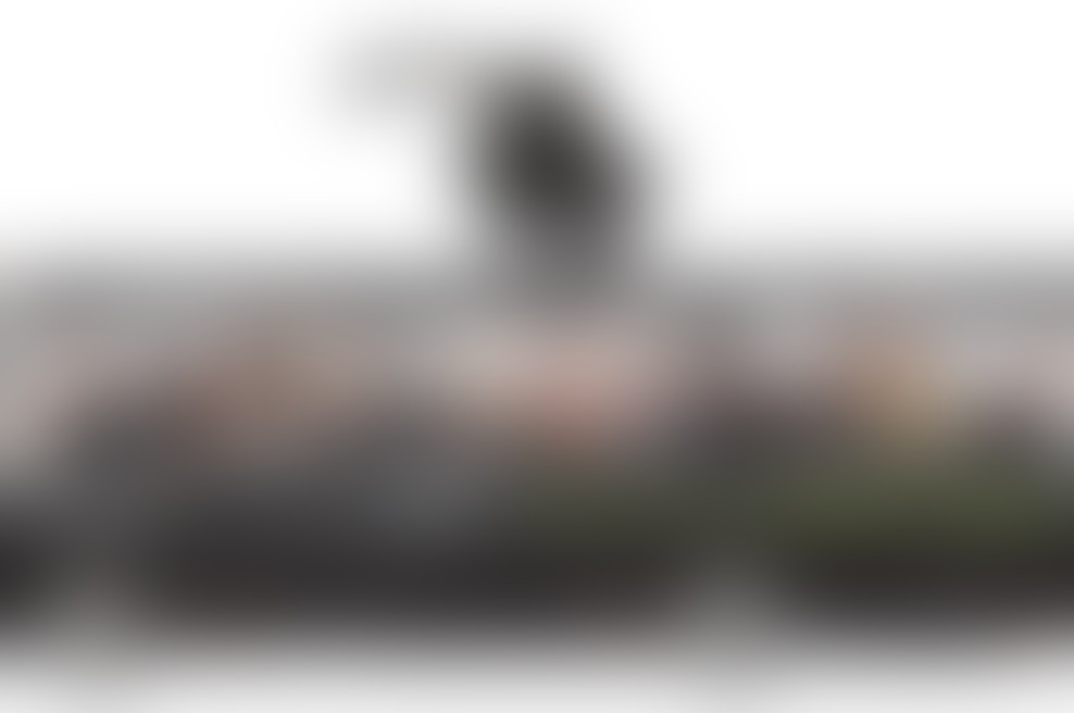 Kdo gre z nami in glasbeniki na že četrto Telemachovo zabavo, tokrat v Novo mesto?