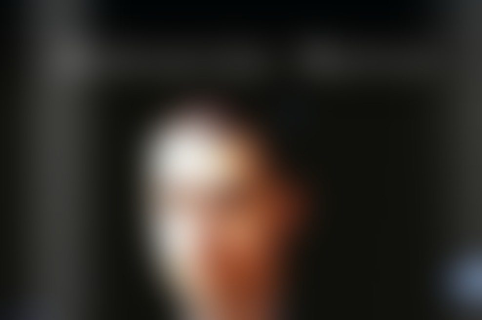 Aleksandar Hemon bo obiskal Modrijanovo