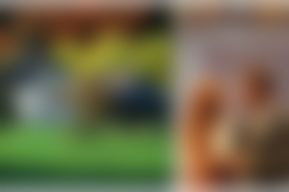 Muzikal Cvetje v jeseni bo končno uprizorjen v okolju od koder izvira