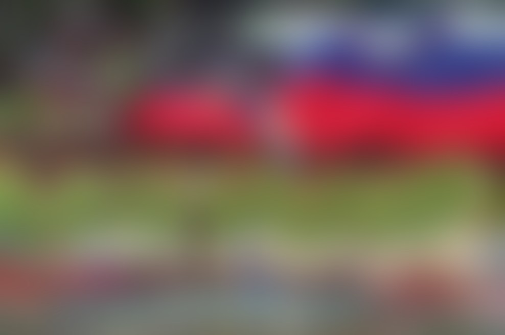 Slovenija prvič na uradni tekmi boljša od Nizozemske