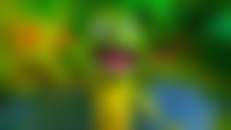 Animirana pustolovščina žabca Ribbita prihaja v kinematografe