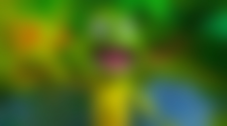 Animirana pustolovščina žabca Ribbita prihaja v kinematografe