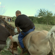 Video: Franca (Kmetija: Nov začetek) je s sebe vrgla kobila!