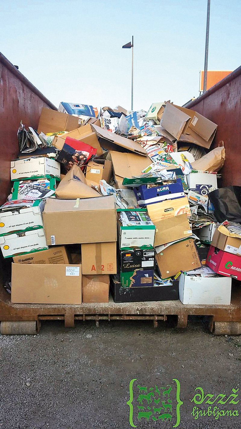 Akcija zbiranja starega papirja 
je bila uspešna, saj so za zavržene 
živali zbrali več kot 12 ton papirja.  (foto: Lea Press)