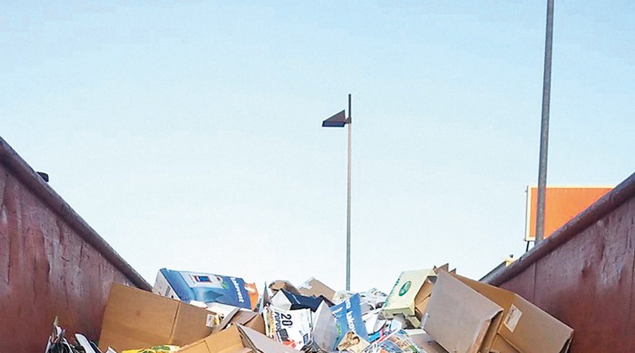 Akcija zbiranja starega papirja 
je bila uspešna, saj so za zavržene 
živali zbrali več kot 12 ton papirja.  (foto: Lea Press)