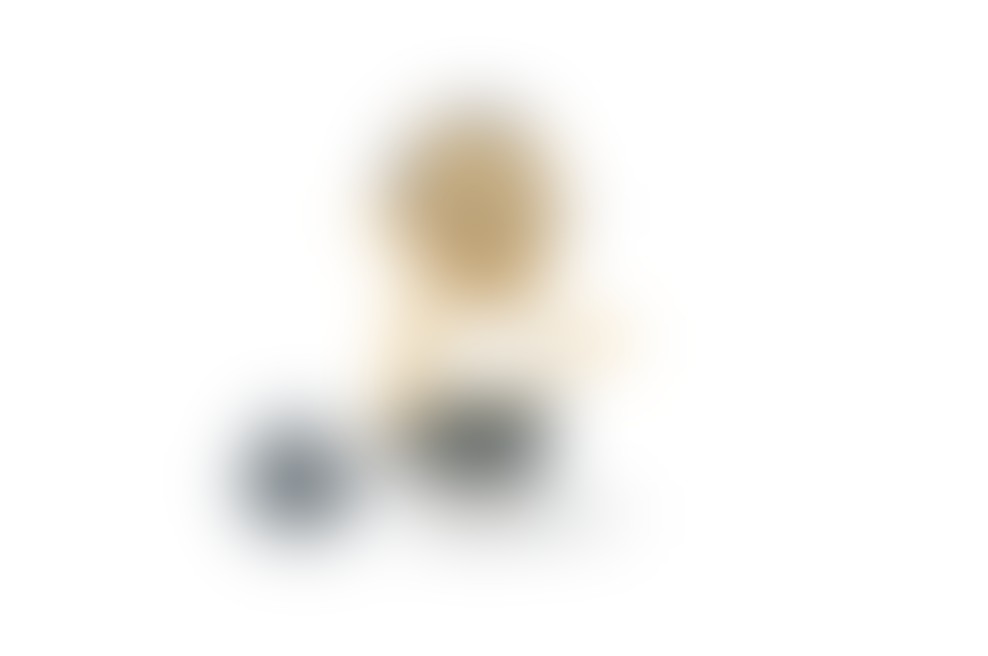 Norci na zvezi in Hrvati podirajo bodečo žico!