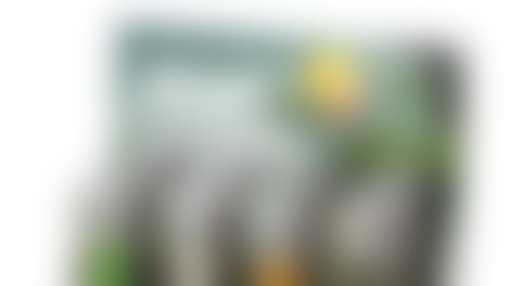 Tudi letos s pisali za pisanje lepih zgodb v imenu Botrstva!