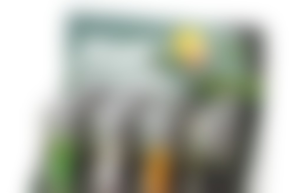 Tudi letos s pisali za pisanje lepih zgodb v imenu Botrstva!