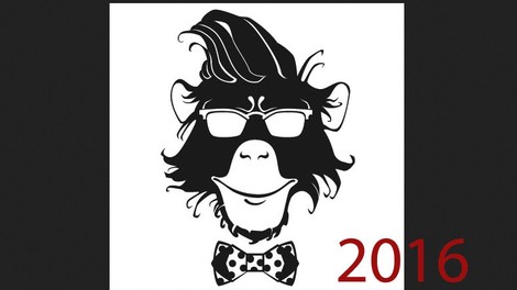 2016 bo leto Opice! Preverite, kaj se vam obeta po kitajskem horoskopu!