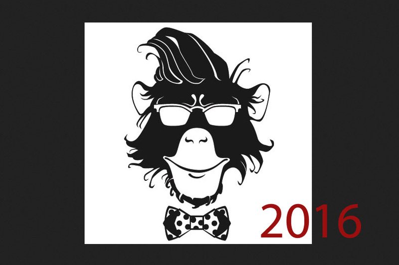 2016 bo leto Opice! Preverite, kaj se vam obeta po kitajskem horoskopu! (foto: shutterstock)