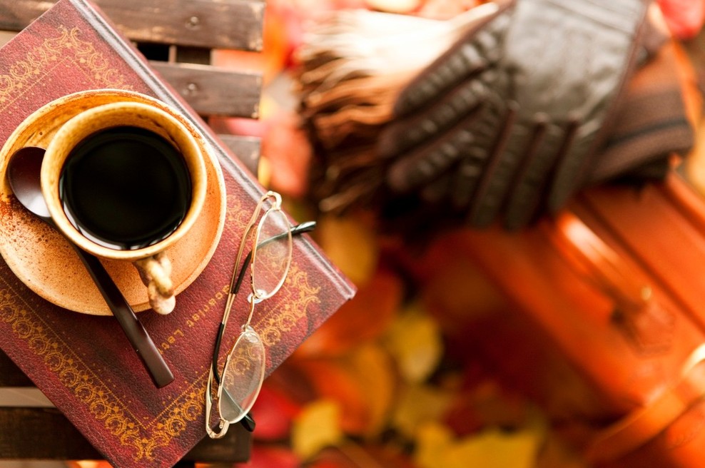 Knjige, ki so izšle ob koncu 2015, in jih boste radi brali v 2016! (foto: profimedia)