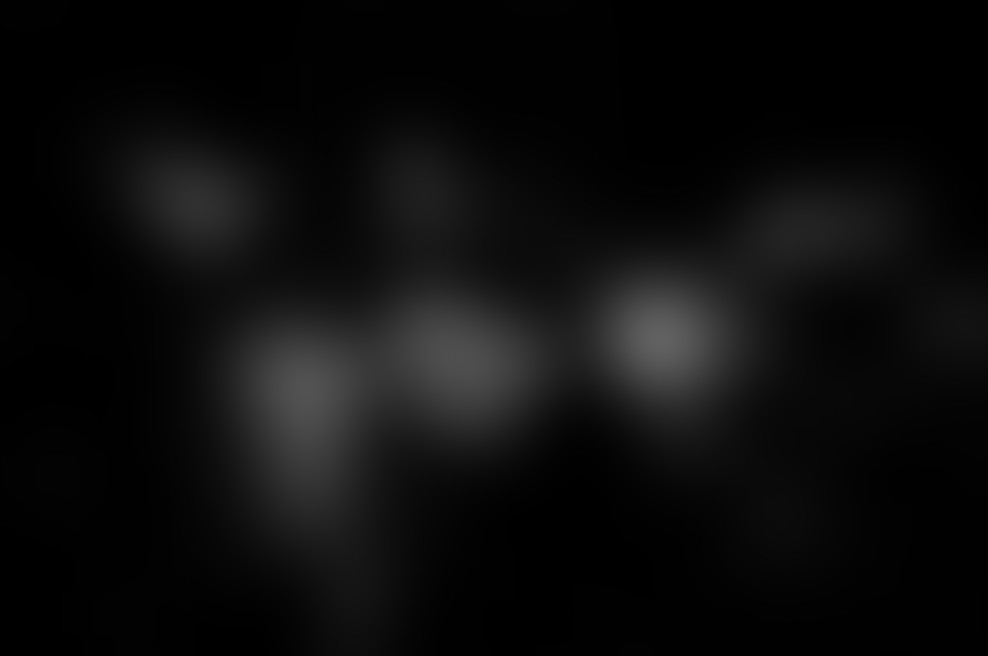 Noctiferia - Transnatura na festivalu MENT 2016!