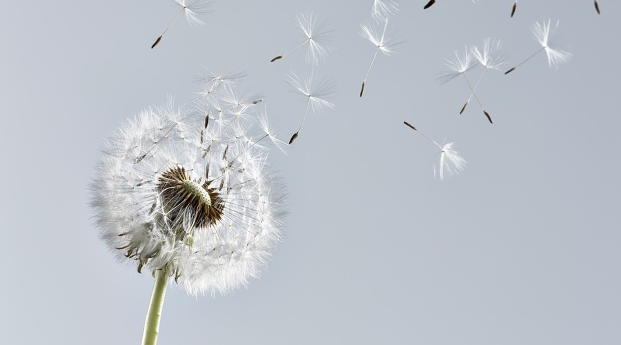 Atul Gawande v Minljivosti o staranju v družbi, ki jo ignorira! (foto: profimedia)