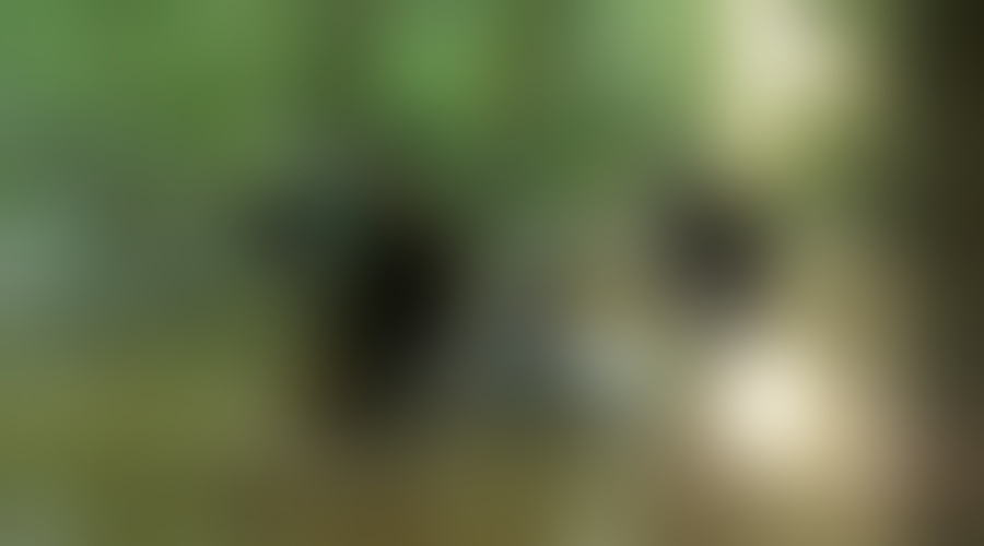 Discovery Channel z modernimi lovci na zaklade