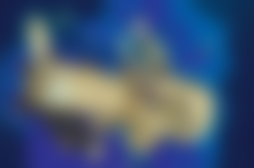 Februarja bomo brali Od genov do zvezd