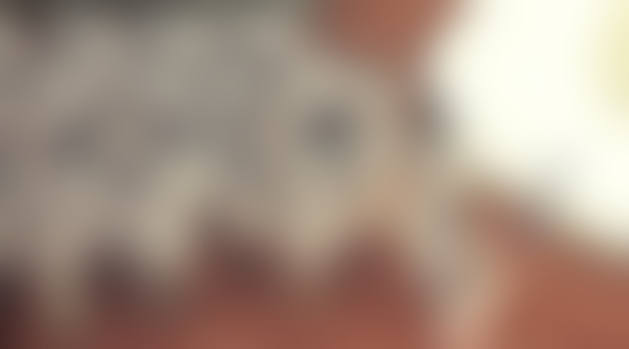 Valentinovo leta 1984 in danes