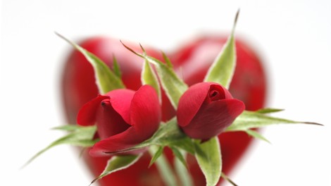Raje kot s cvetjem in voščilnicami za valentinovo presenečamo z nepozabnimi doživetji!