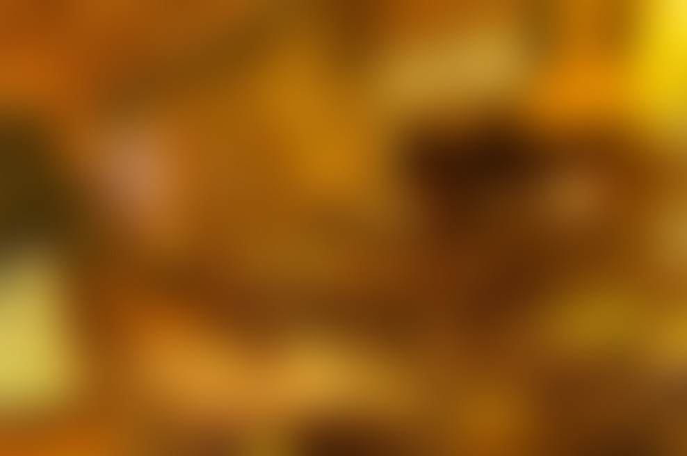 Dnevi Hvara, sonca in kulinarike v restavraciji diVino