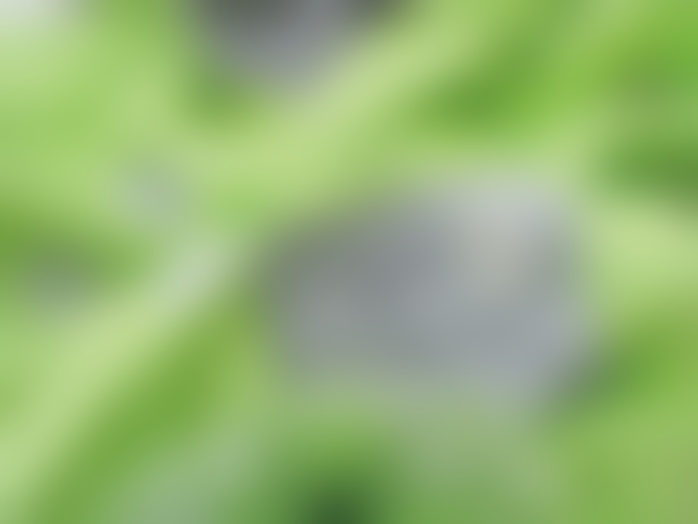 Nasvet ustvarjalke Maje Ciman