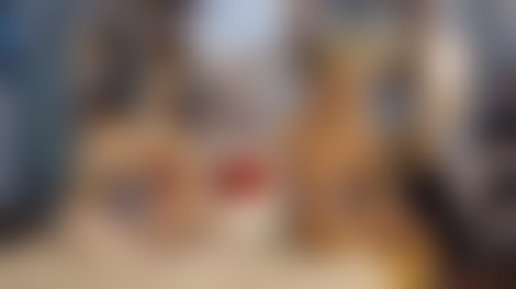 Slovenci na mednarodni premieri v Beogradu