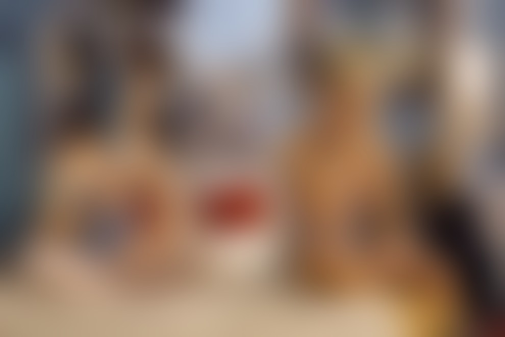 Slovenci na mednarodni premieri v Beogradu