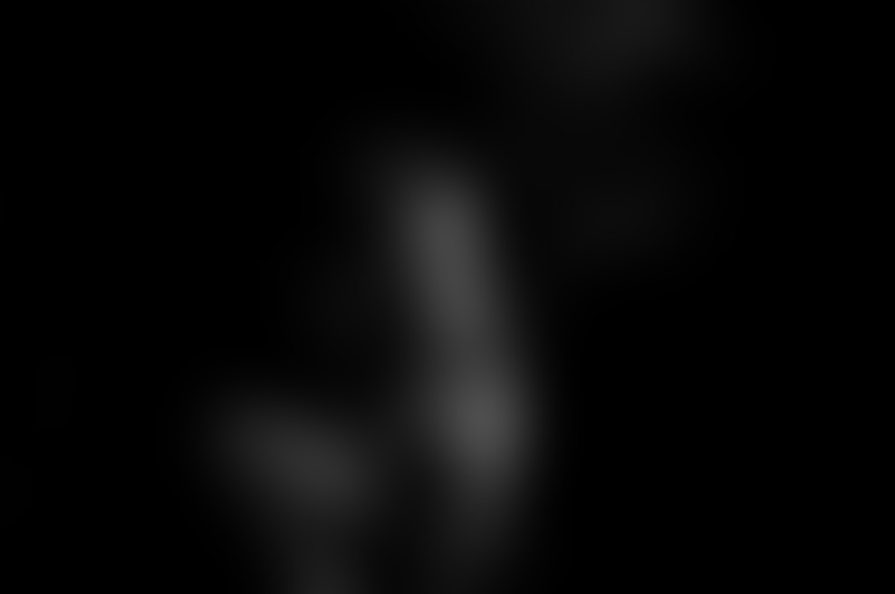 Prvi slovenski film noir PSI BREZČASJA bo kinematografsko premiero doživel 11. MAJA v Kinodvoru  19. MAJA pa prihaja na redne sporede