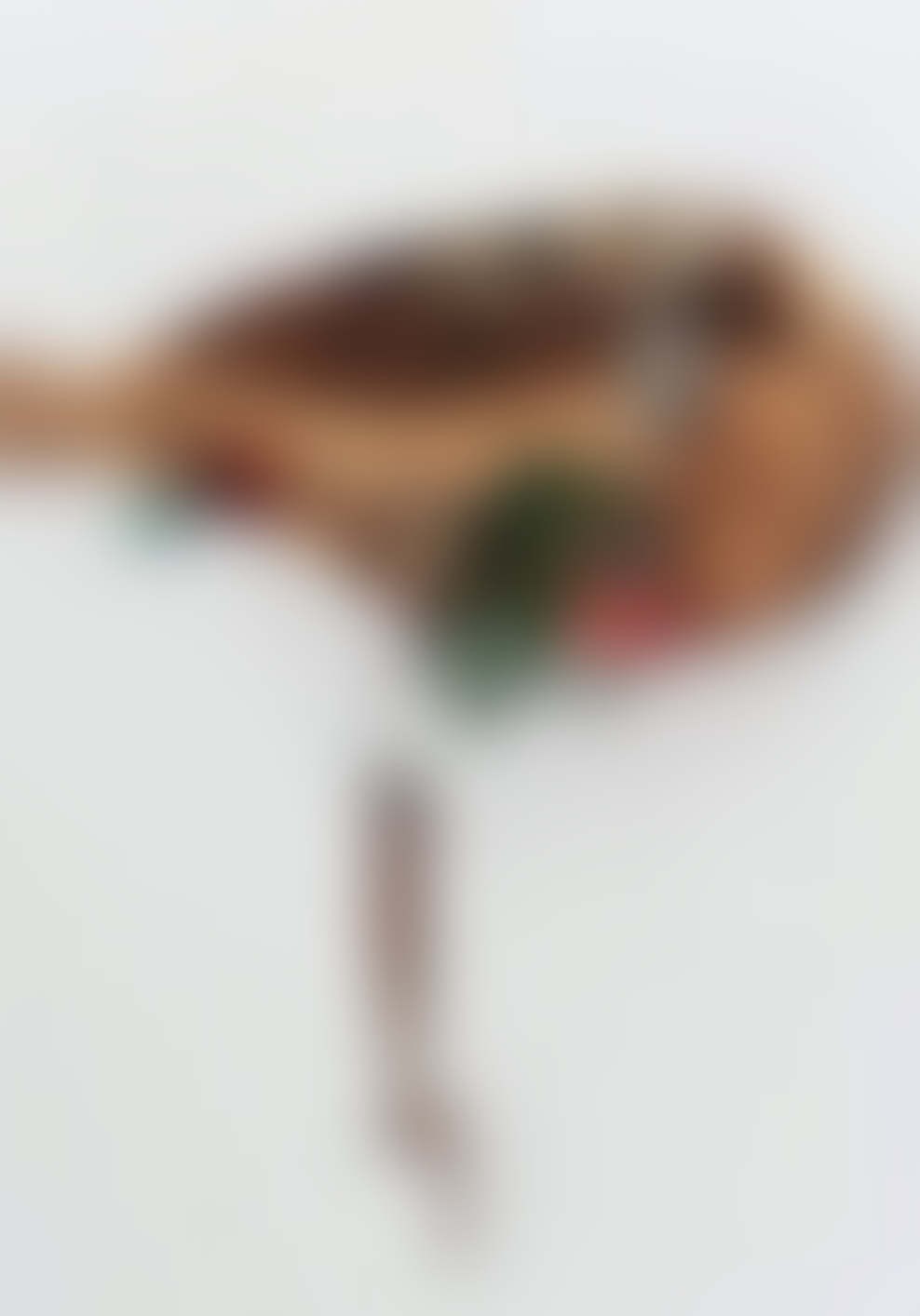 Alenka Loboda: Zgodba o slovenskem lesu!