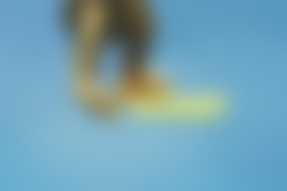 Deckument - od rolke do skejta