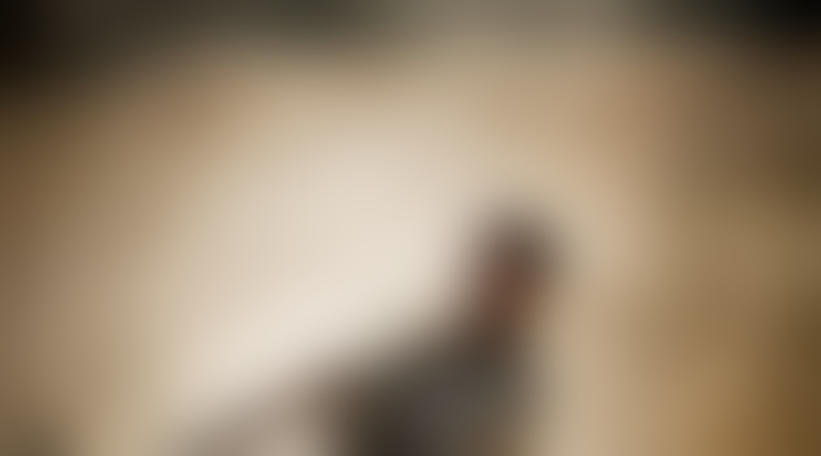 JACK HUSTON kot BEN-HUR