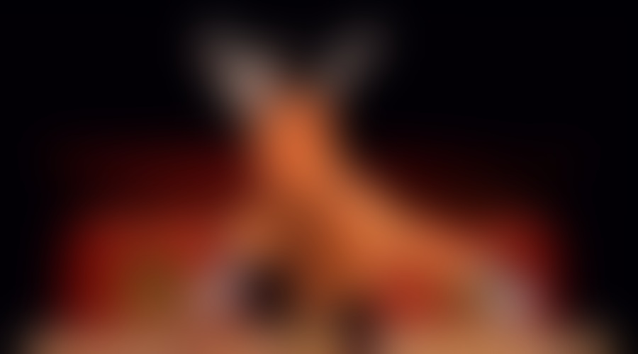 Prihajajo legendarni menihi iz templja Shaolin