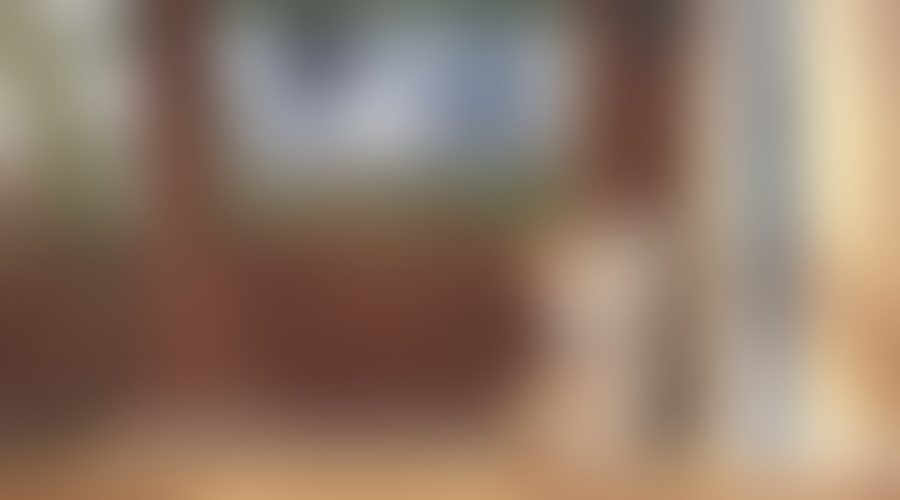 Glavni kuža bloka je Max  ki neskončno uživa v družbi svoje lastnice