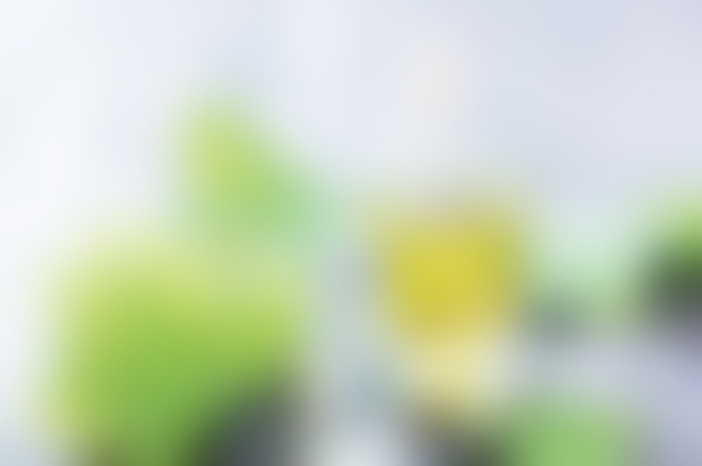 Z oljem iz grozdnih pečk proti staranju