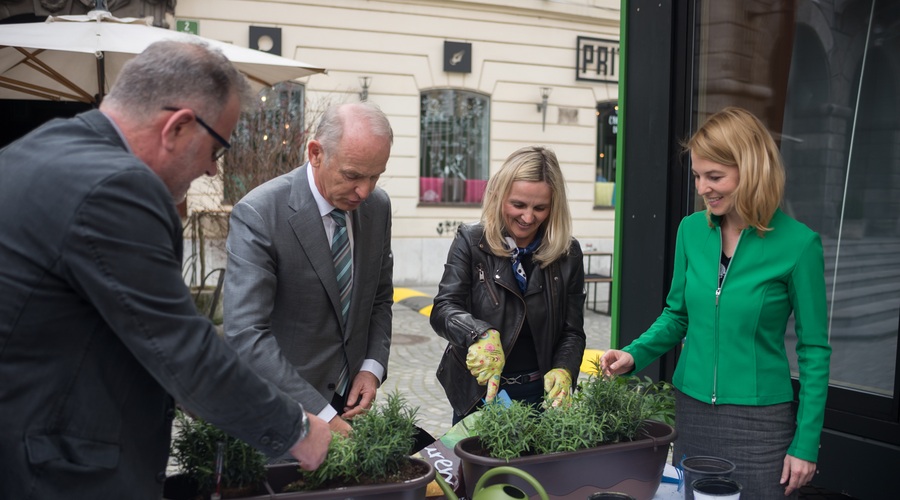 Z urbanimi čebelnjaki in ljubljansko Čebeljo potjo se čebele približujejo meščanom (foto: Doris Kordič)