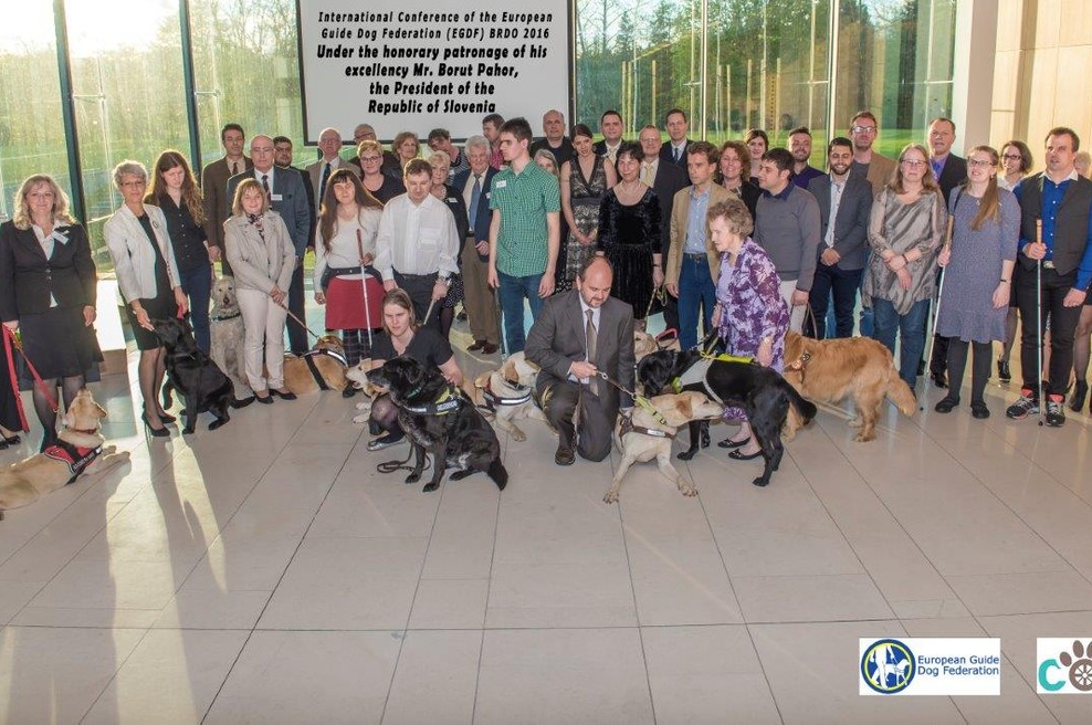 Brez psa vodnika so vse ulice slepe ... (foto: Darko Novak)