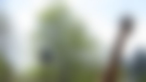 Nesrečna smrt žirafe v ZOO Ljubljana