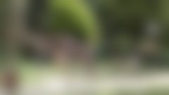 Nesrečna smrt žirafe v ZOO Ljubljana