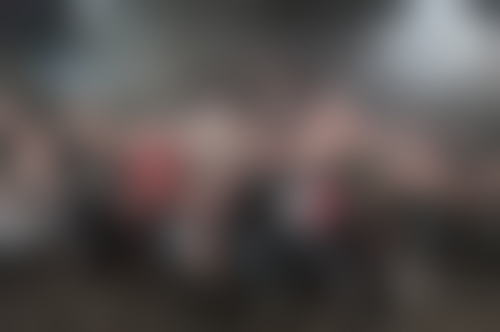 Happy Ol'McWeasel letos na velikem Paleo festivalu v Švici