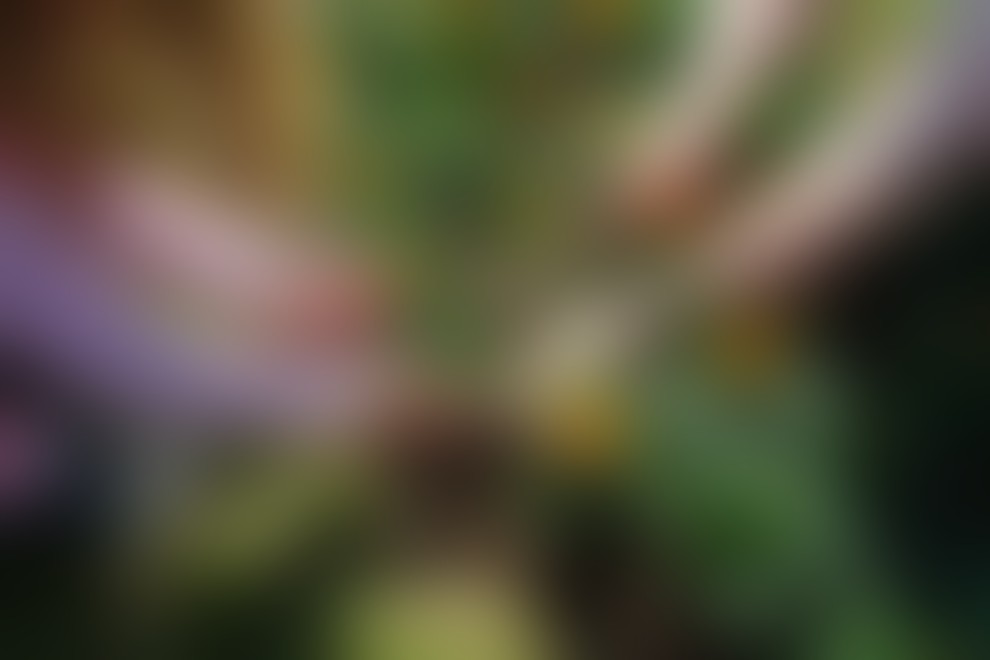 Za vsako posajeno cvetlico otrok bo Qlandia donirala kranjski porodnišnici