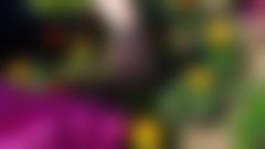 Za vsako posajeno cvetlico otrok bo Qlandia donirala kranjski porodnišnici