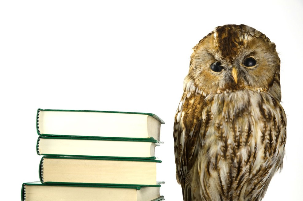 150 let šolstva in čitalništva v Šentvidu nad Ljubljano (foto: profimedia)