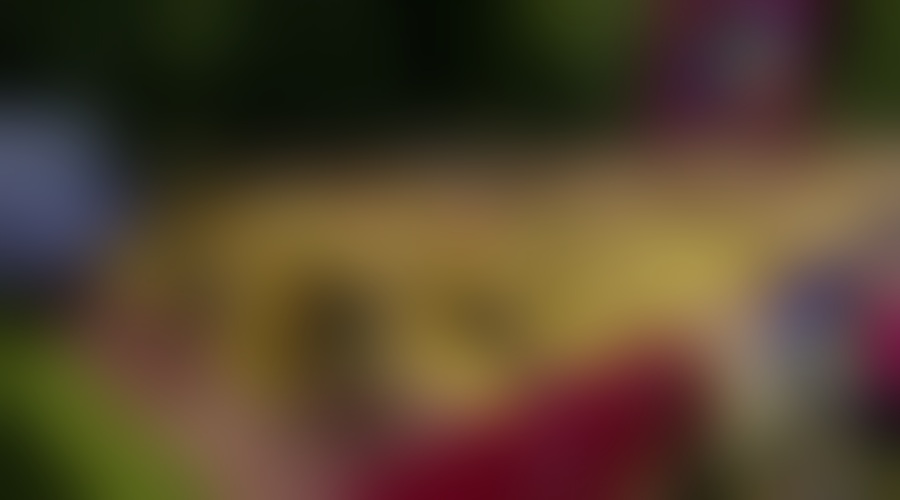 Tekačice so se pogumno pognale čez štartno črto 11. dm teka za ženske