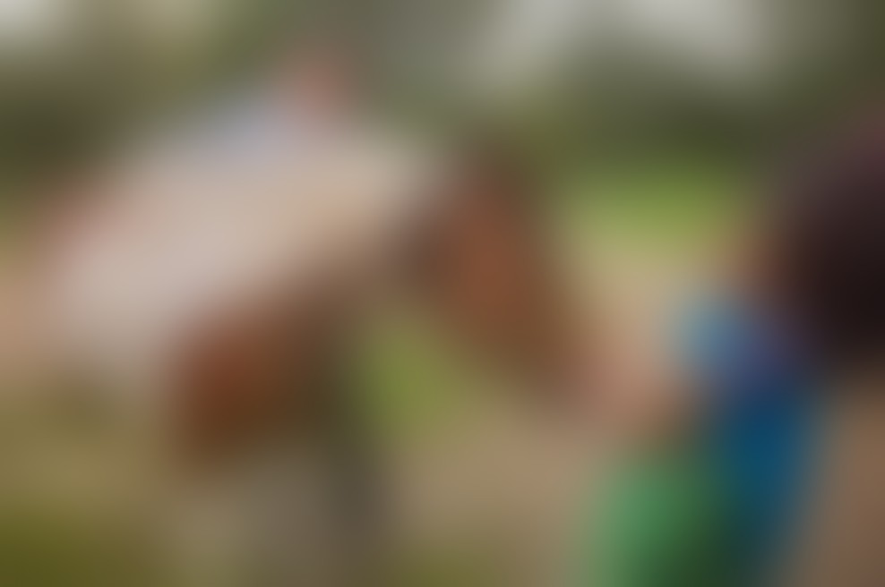 Na lanskem Vikendu odprtih vrat v Litiji so na svoj račun prišli tudi otroci.