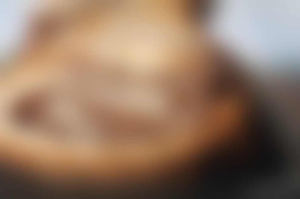 5. Fridino dobrodelno kulinarično srečanje