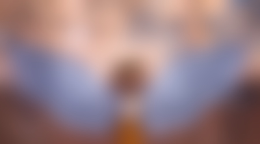 Upanje in mir v obliki kril tudi v Mariboru