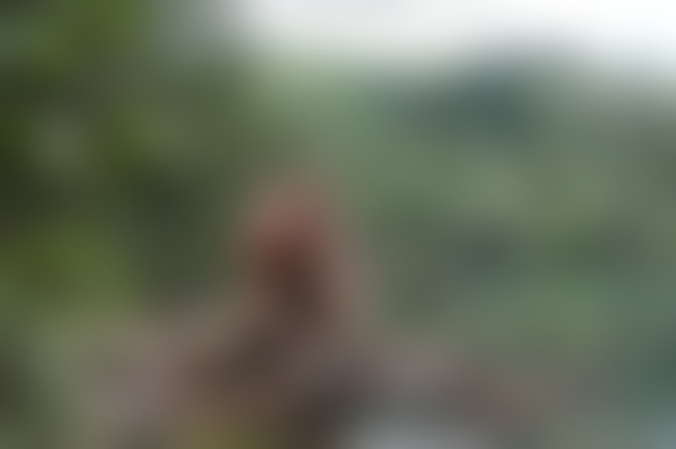 Ed Stafford nas uči, kako preživeti!