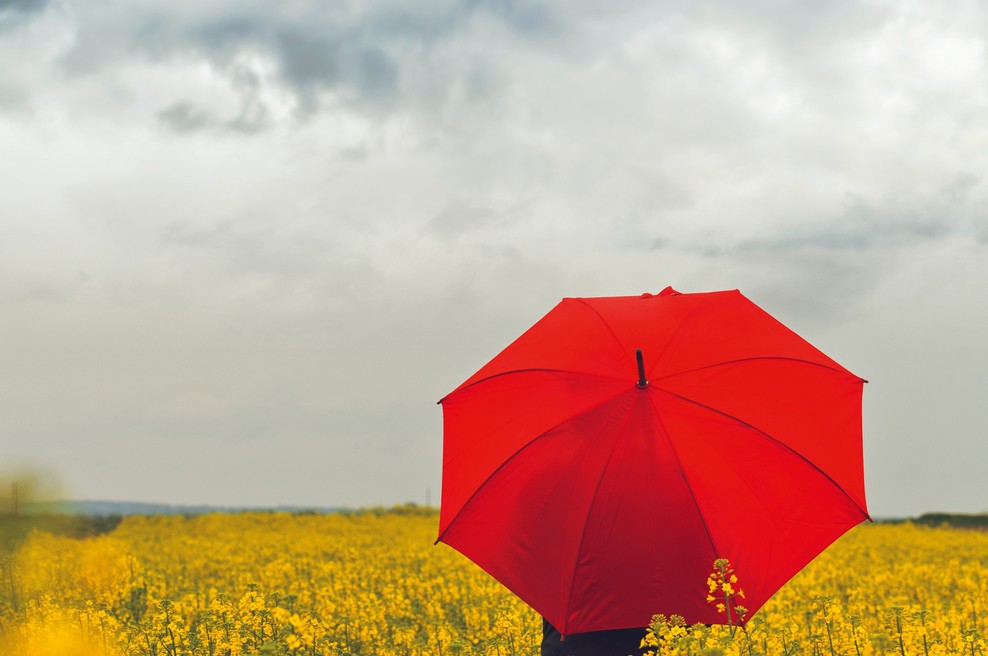 Kaj pomeni biti preveč občutljiv? (foto: Shutterstock)