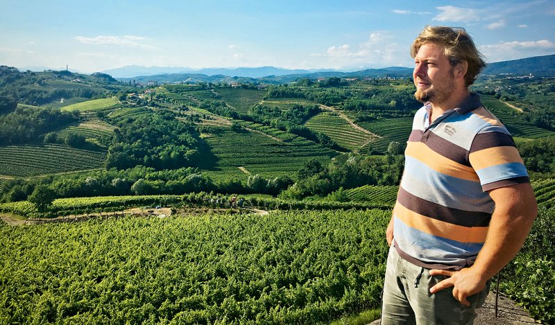 Edvard Reya: Mladi briški vinar z vizijo (foto: KoKa press)